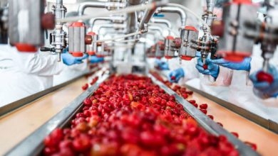 ปั๊มลม oil free